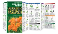 Medicinal Plants